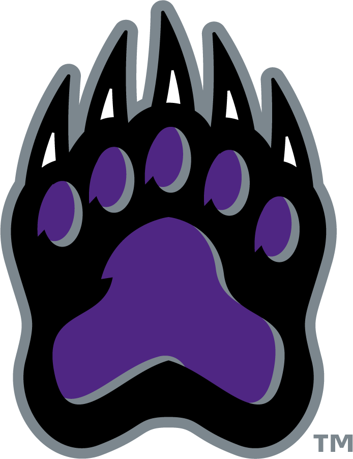 Central Arkansas Bears 2009-2021 Secondary Logo v2 diy iron on heat transfer
